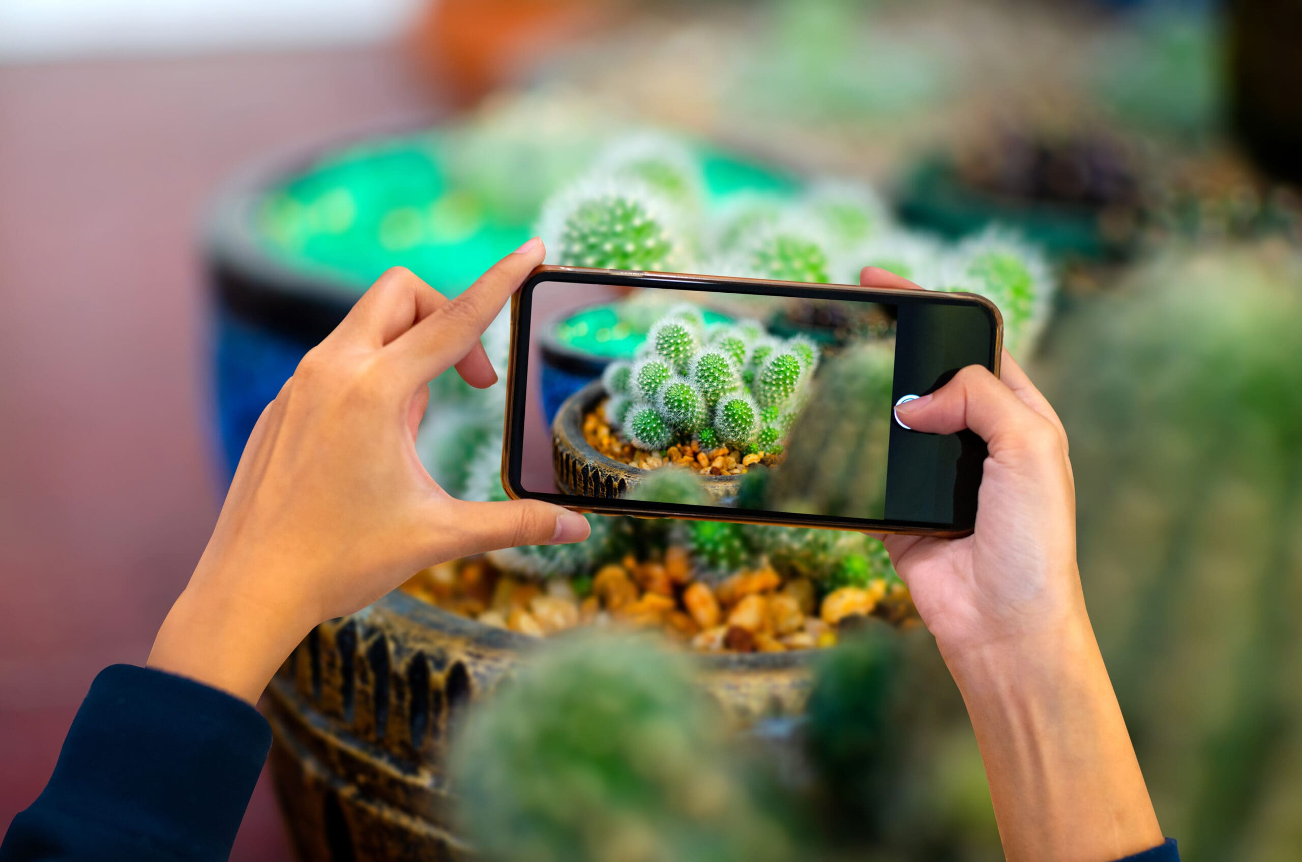 Turn Your Smartphone Into a Marketing Machine