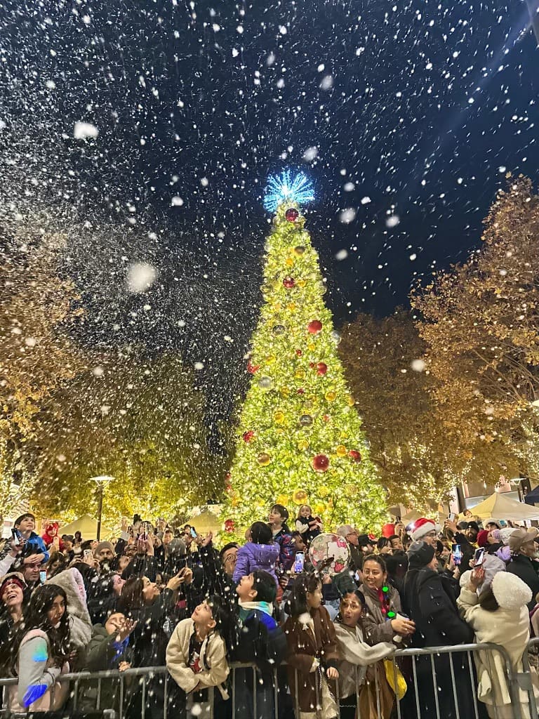 Families and children gathering during a season of celebration at the Broadway Plaza tree lighting event