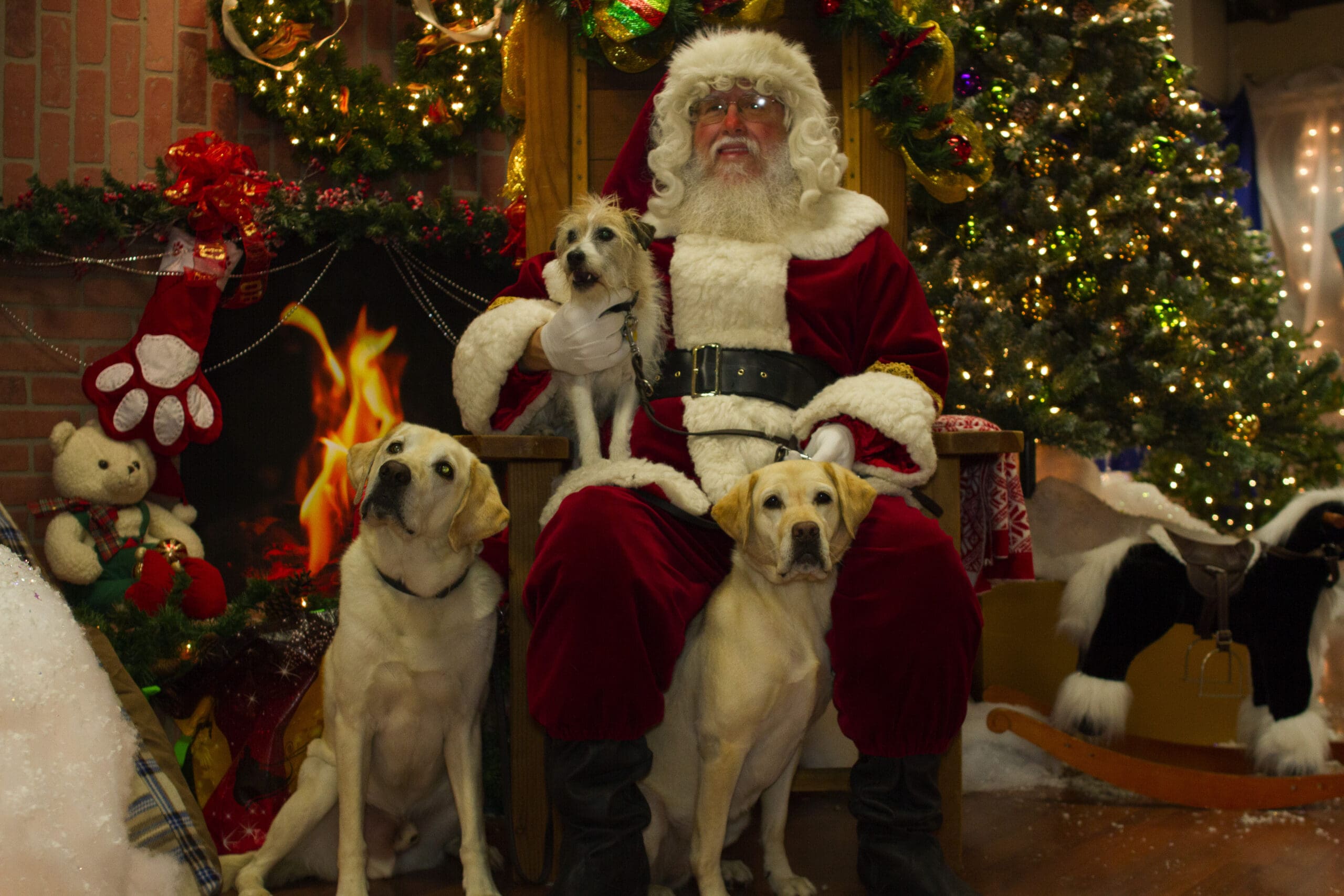 Kids and Dogs in Social Media Marketing Are the Secret Sauce for High Engagement Kids and Dogs in Social Media Marketing Are the Secret Sauce for High Engagement